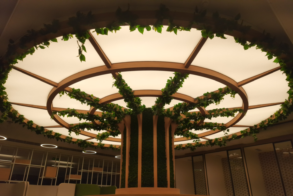 Stretch Ceilings in Biophilic Design